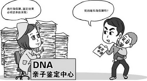 在[怀化]怀孕几个月需要怎么办理亲子鉴定,怀化孕期亲子鉴定需要多少钱